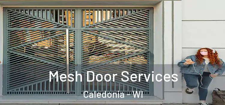  Mesh Door Services Caledonia - WI