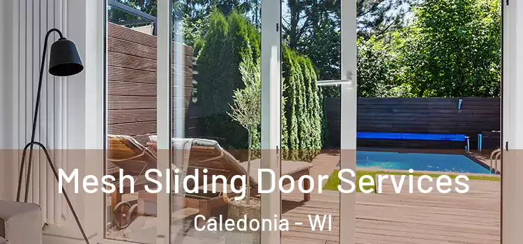  Mesh Sliding Door Services Caledonia - WI