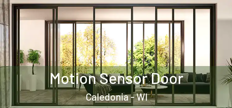  Motion Sensor Door Caledonia - WI