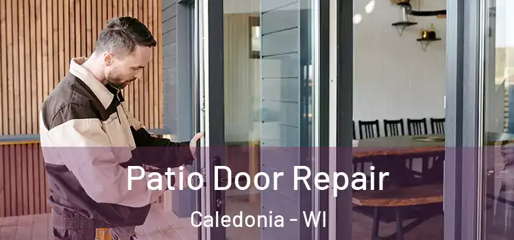  Patio Door Repair Caledonia - WI