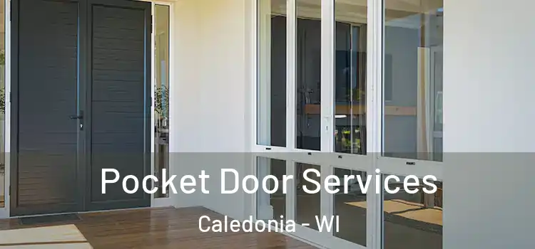  Pocket Door Services Caledonia - WI