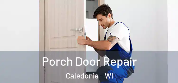  Porch Door Repair Caledonia - WI
