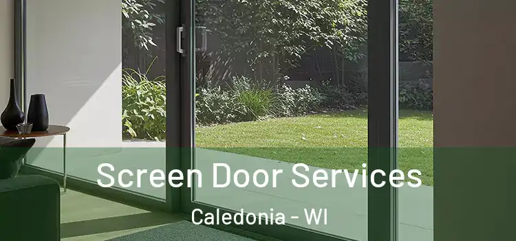  Screen Door Services Caledonia - WI