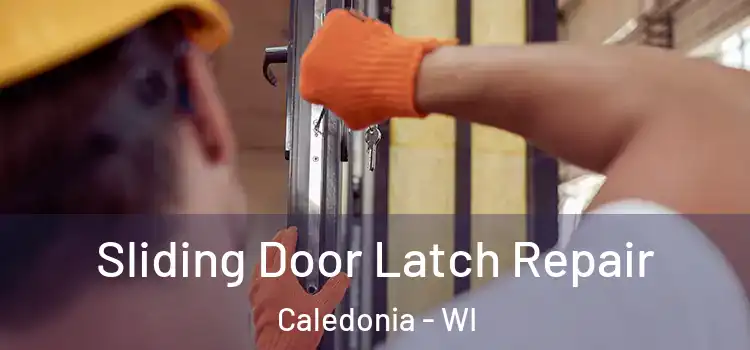  Sliding Door Latch Repair Caledonia - WI