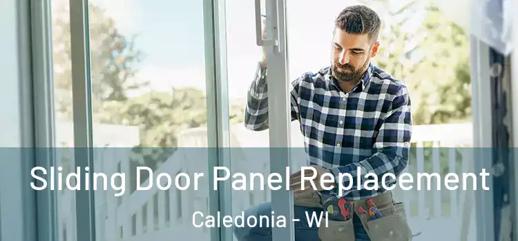  Sliding Door Panel Replacement Caledonia - WI