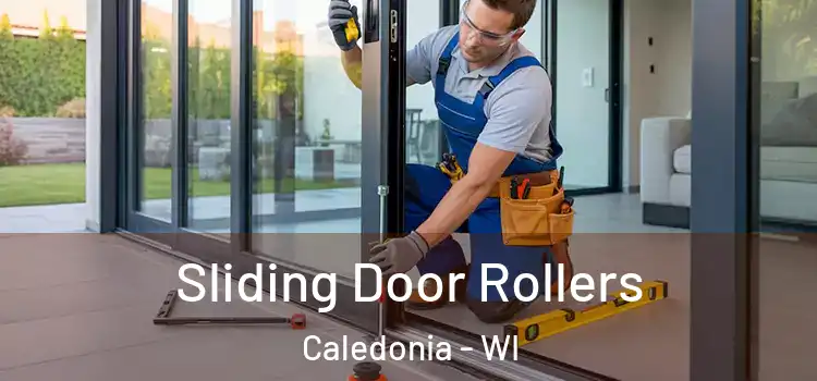  Sliding Door Rollers Caledonia - WI