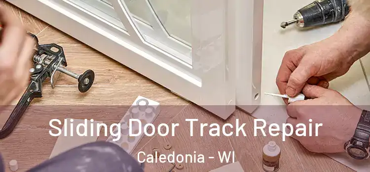  Sliding Door Track Repair Caledonia - WI