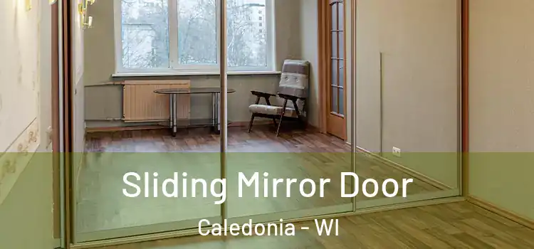  Sliding Mirror Door Caledonia - WI