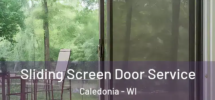  Sliding Screen Door Service Caledonia - WI