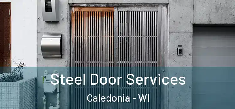  Steel Door Services Caledonia - WI