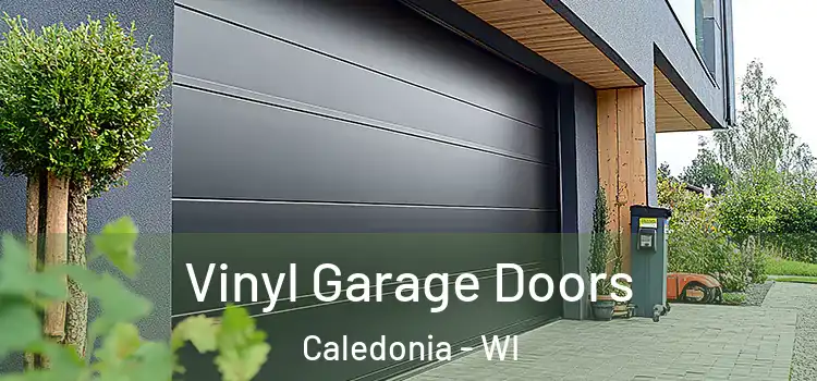  Vinyl Garage Doors Caledonia - WI