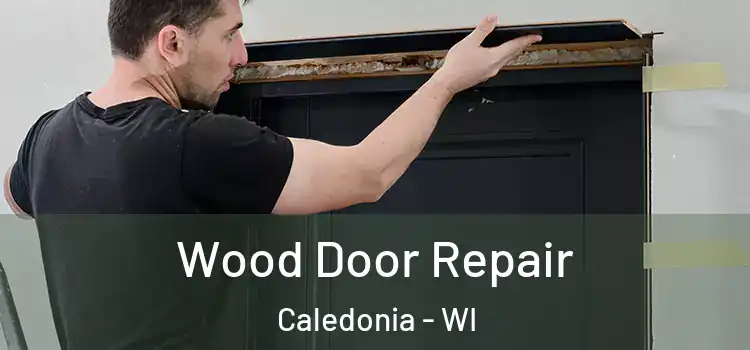  Wood Door Repair Caledonia - WI