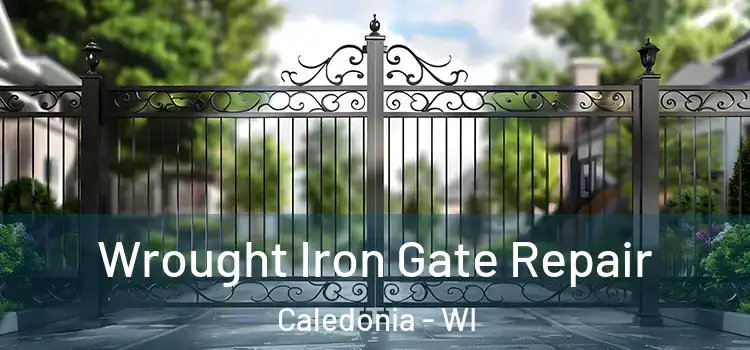  Wrought Iron Gate Repair Caledonia - WI